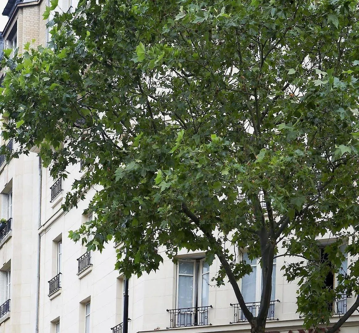 Hotel De France Invalides 3*